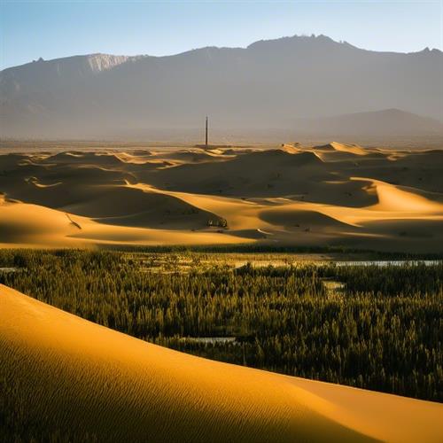 在新疆莎车县，古丝绸之路的起点，您可以一睹沙漠绿洲的独特风貌！